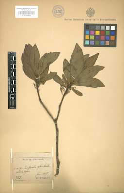 LE 01004654