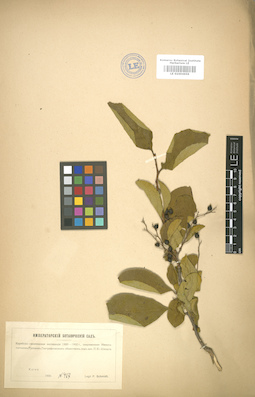LE 01004659