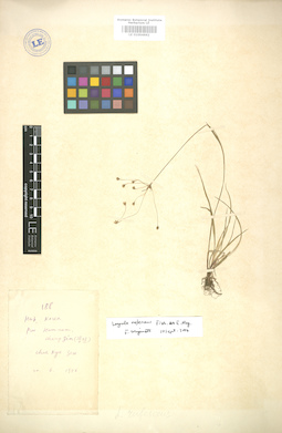 LE 01004662