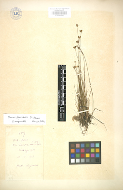 LE 01004663