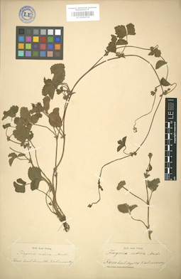 LE 01004714