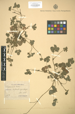 LE 01004723