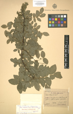 LE 01004741