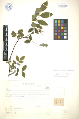 LE 01004746