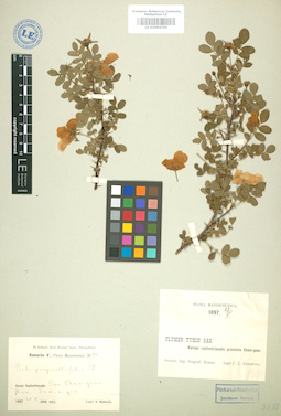 LE 01004765