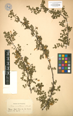 LE 01004769