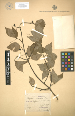 LE 01004804