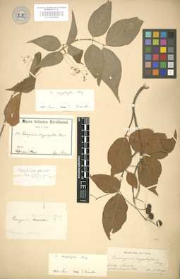 LE 01004808