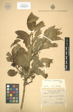 LE 01004821