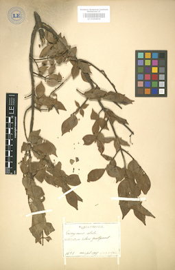 LE 01004830
