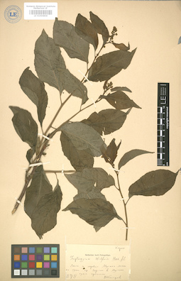 LE 01004858