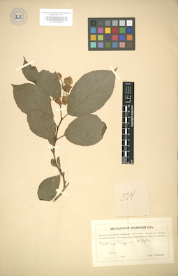 LE 01004860