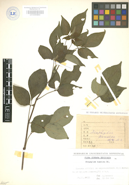 LE 01004864