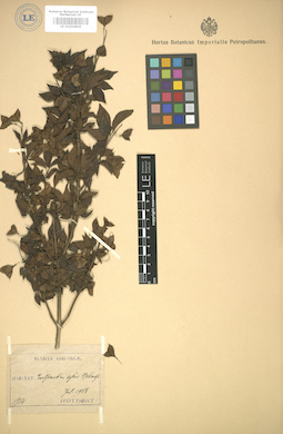 LE 01004869