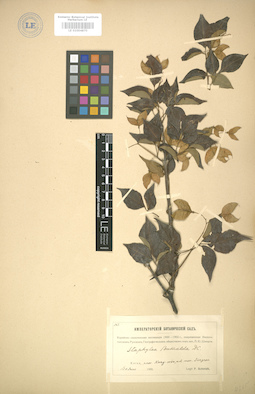 LE 01004870