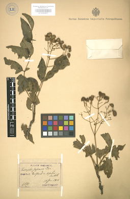 LE 01004873