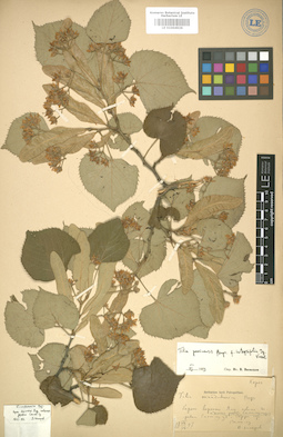 LE 01004926