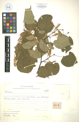 LE 01004930