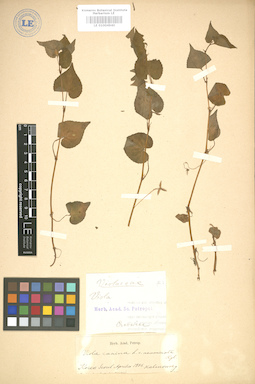 LE 01004940