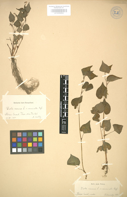 LE 01004941