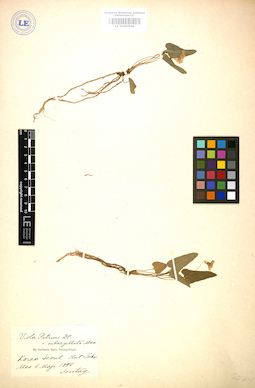 LE 01004948