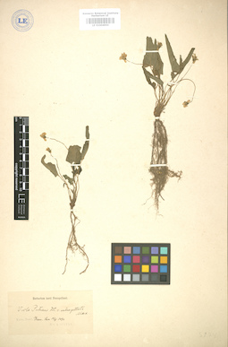 LE 01004950