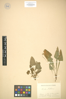LE 01004953