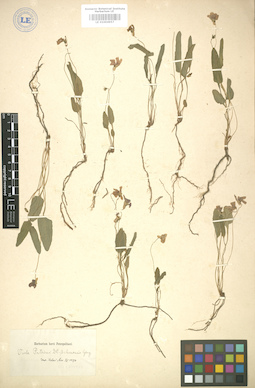 LE 01004957
