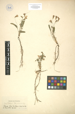 LE 01004958