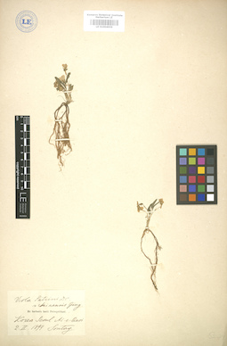 LE 01004959