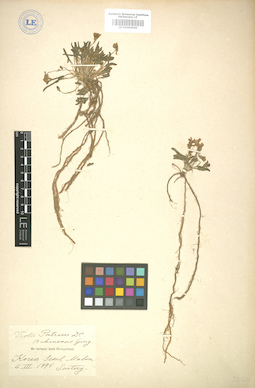 LE 01004960