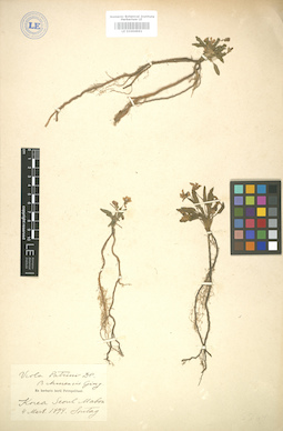 LE 01004961