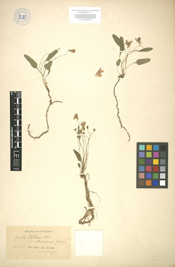 LE 01004962
