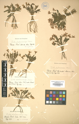 LE 01004964