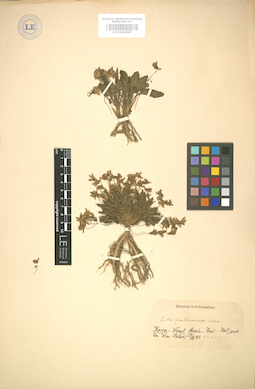 LE 01004965