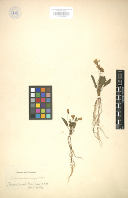 LE 01004966