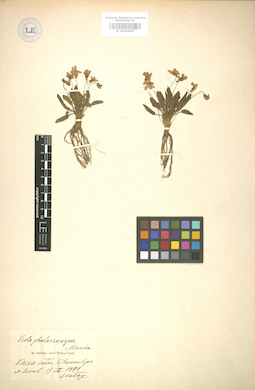LE 01004967