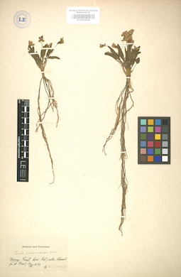 LE 01004968