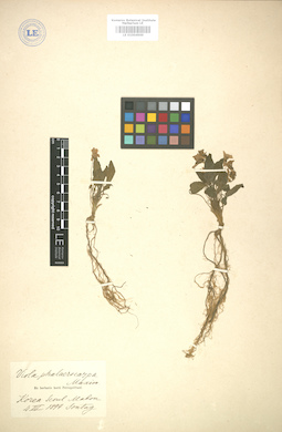 LE 01004969