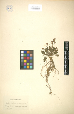 LE 01004970