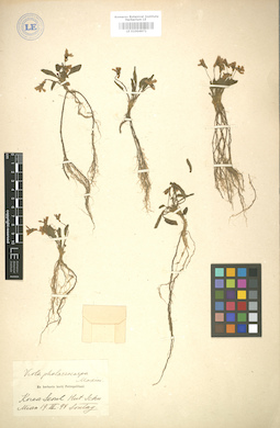 LE 01004971