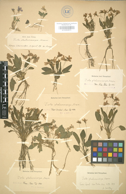 LE 01004972