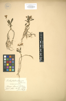 LE 01004974