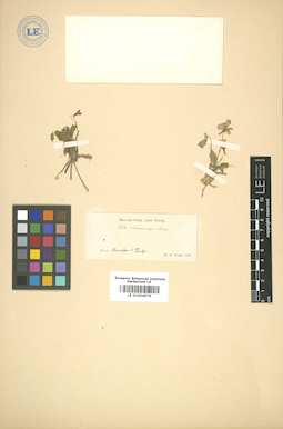 LE 01004976
