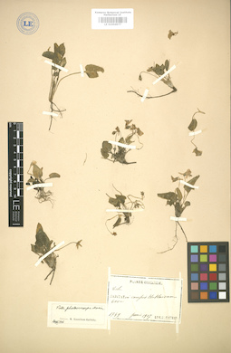LE 01004977