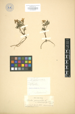 LE 01004979