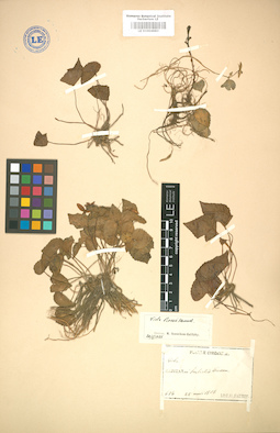 LE 01004983