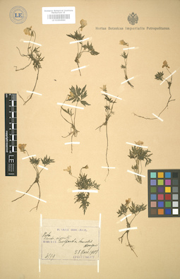 LE 01004984