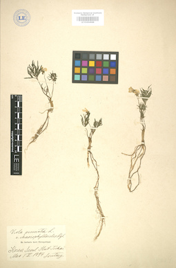 LE 01004988