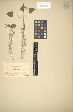 LE 01004990